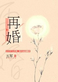 再婚(耽美)