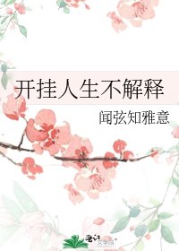 開掛人生不解釋